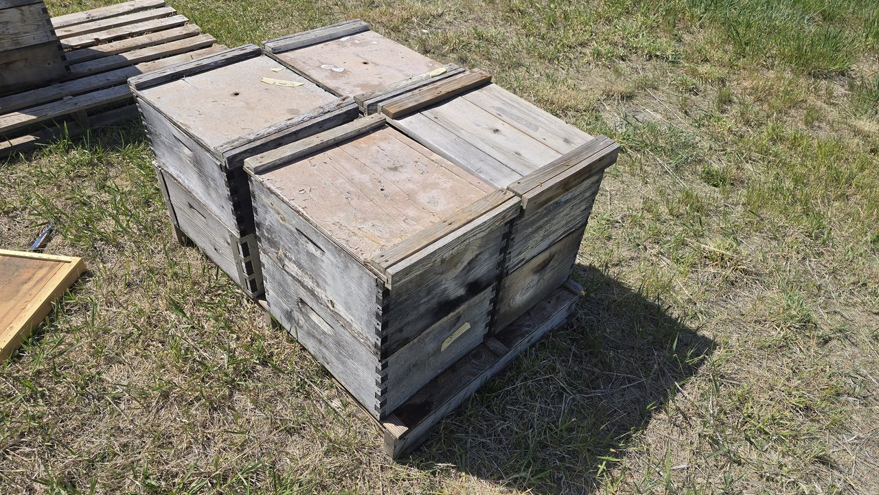 Four weathered grey Langstroth hives, two to a wood pallet, sitting in a dry-grass pasture in Weston, Idaho with another pallet visible to the side.