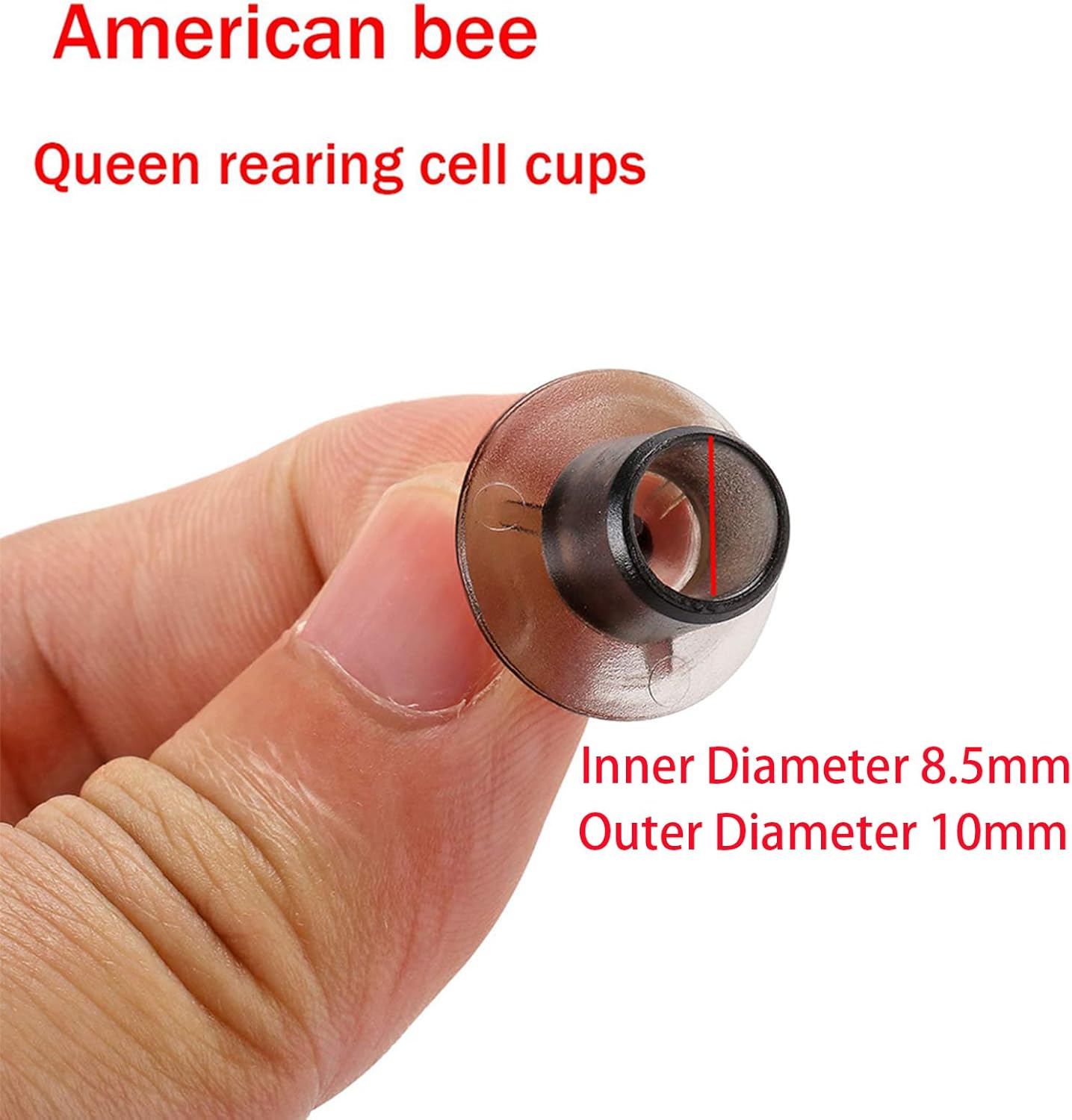 JZ-BZ Queen Cell Cups