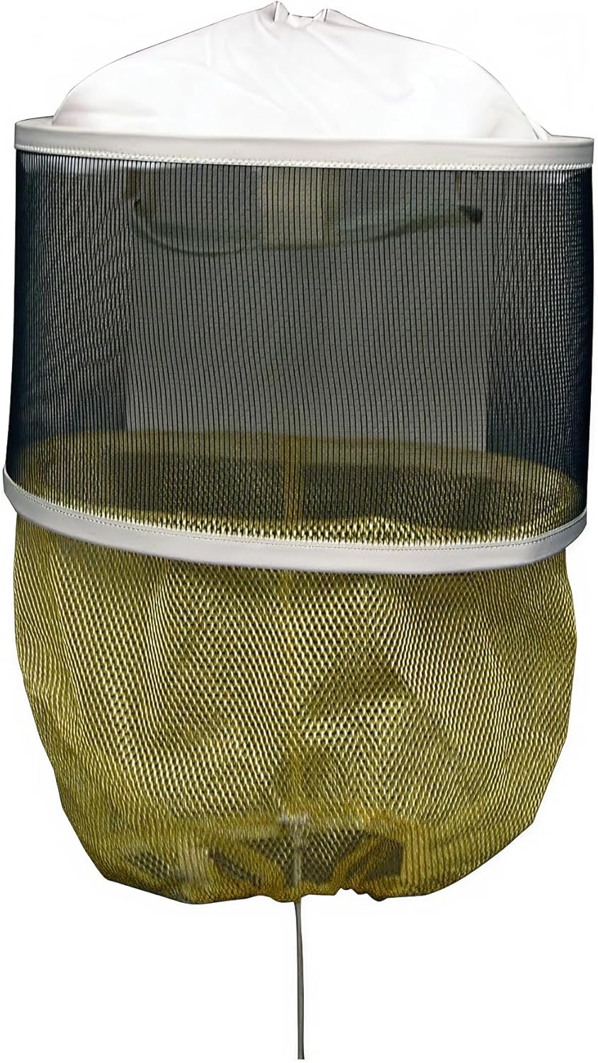 Alexander Veil w/ String