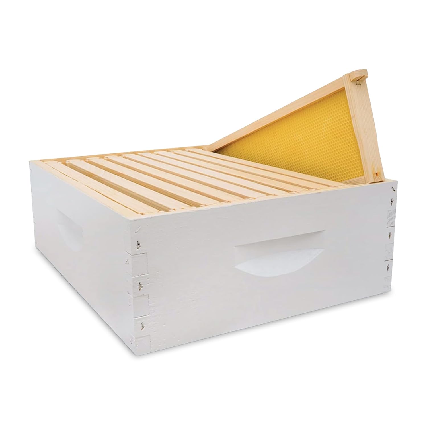 Super Hive Body Kit 6 5/8 (Medium)